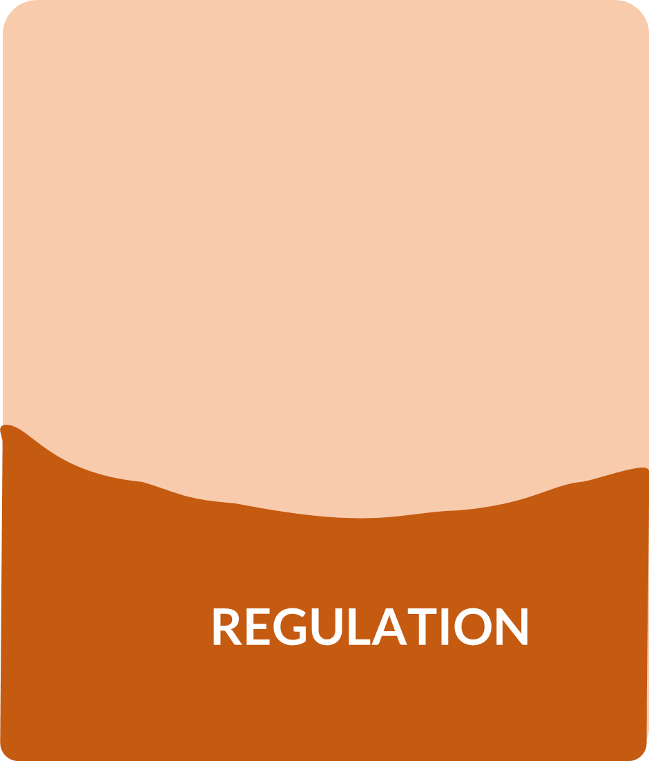REGULATION